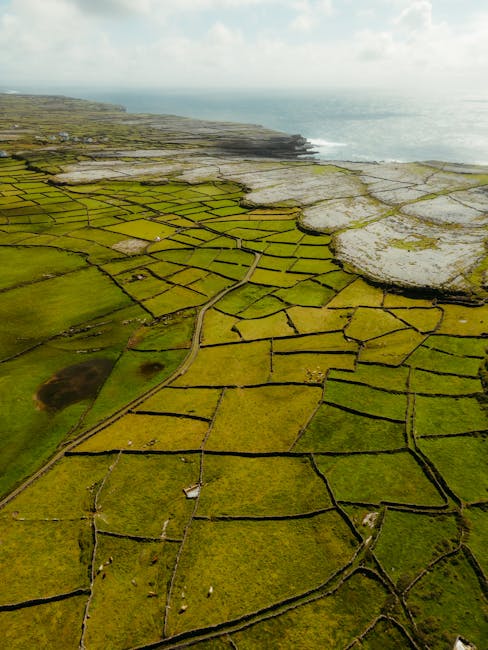 Wild Atlantic Way: Galway & Cliffs - Image 1