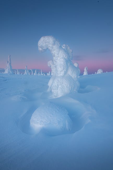 Finnish Lapland Northern Lights & Reindeer - Image 3