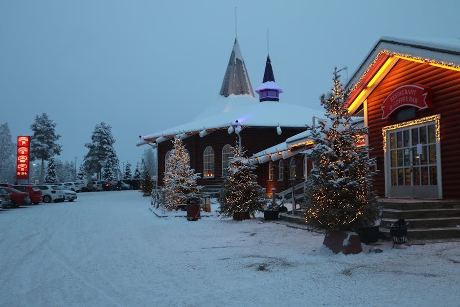 Finnish Lapland Northern Lights & Reindeer - Image 1