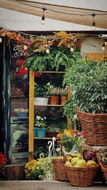 Bucharest & Dracula's Transylvania - Image 2