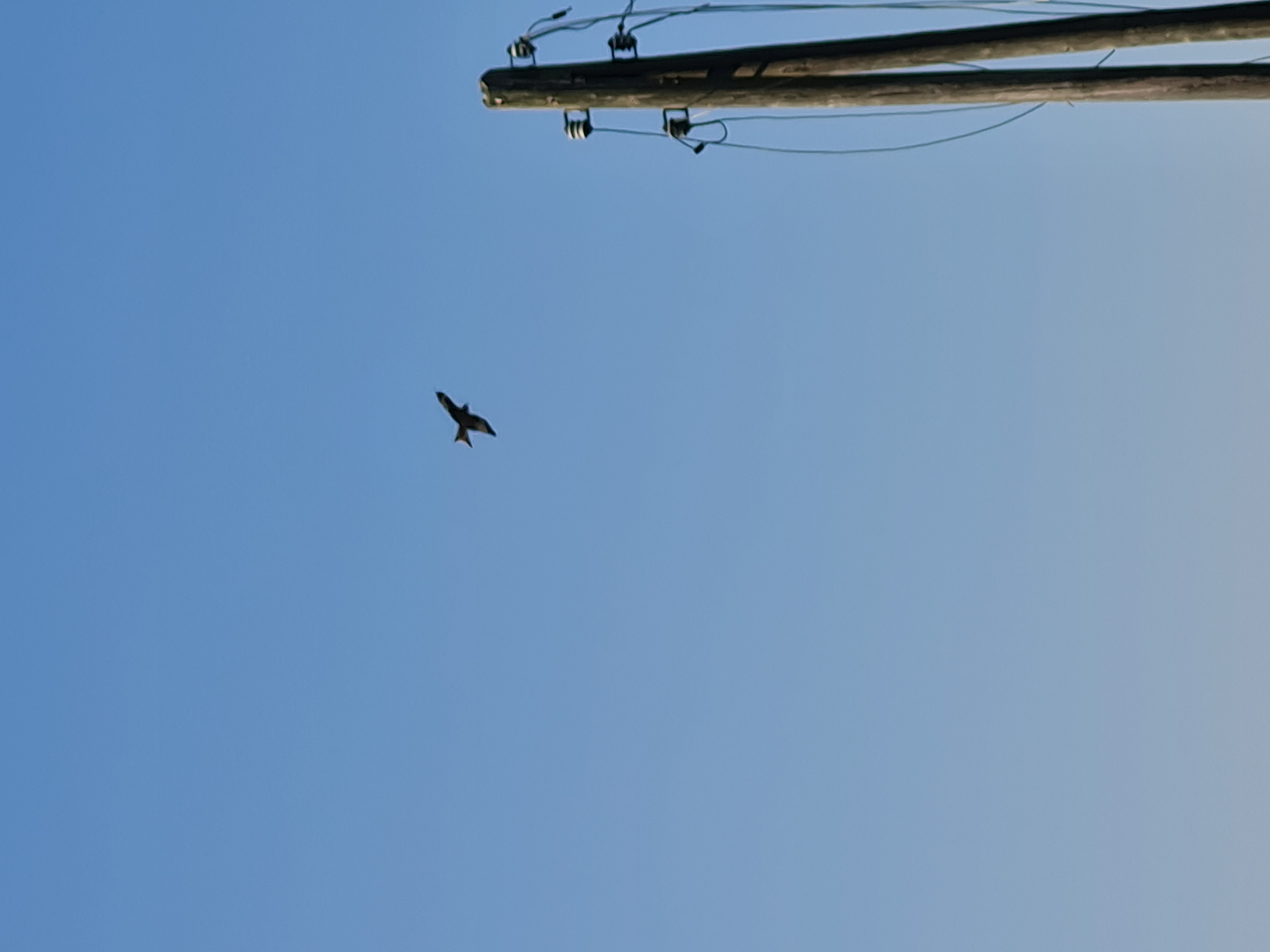 West Highland Way in Scotland - Image 1